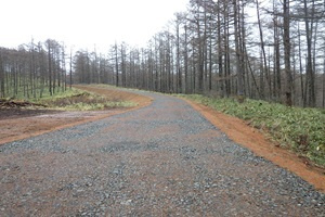 一般国道44号釧路町別保改良工事